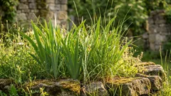 Tieto sadeničky vysadím v marci a na jeseň mám bohatú úrodu