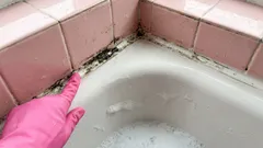 Ako znížiť vlhkosť v kúpeľni: Jednoduché spôsoby, ako udržiavať príjemné vnútorné prostredie